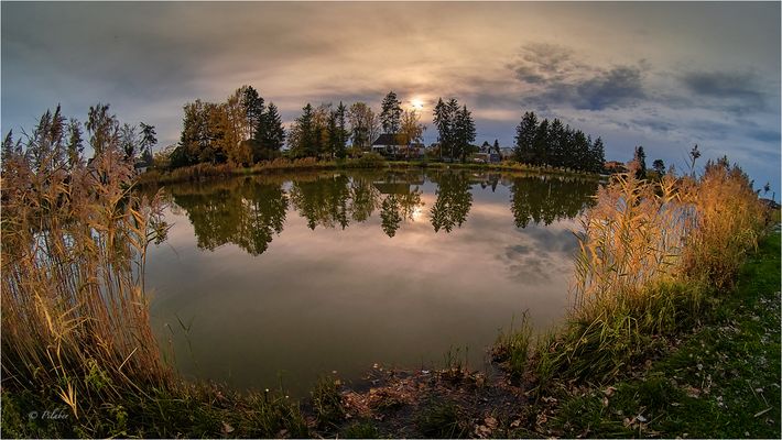 Herbst am Fischweiher