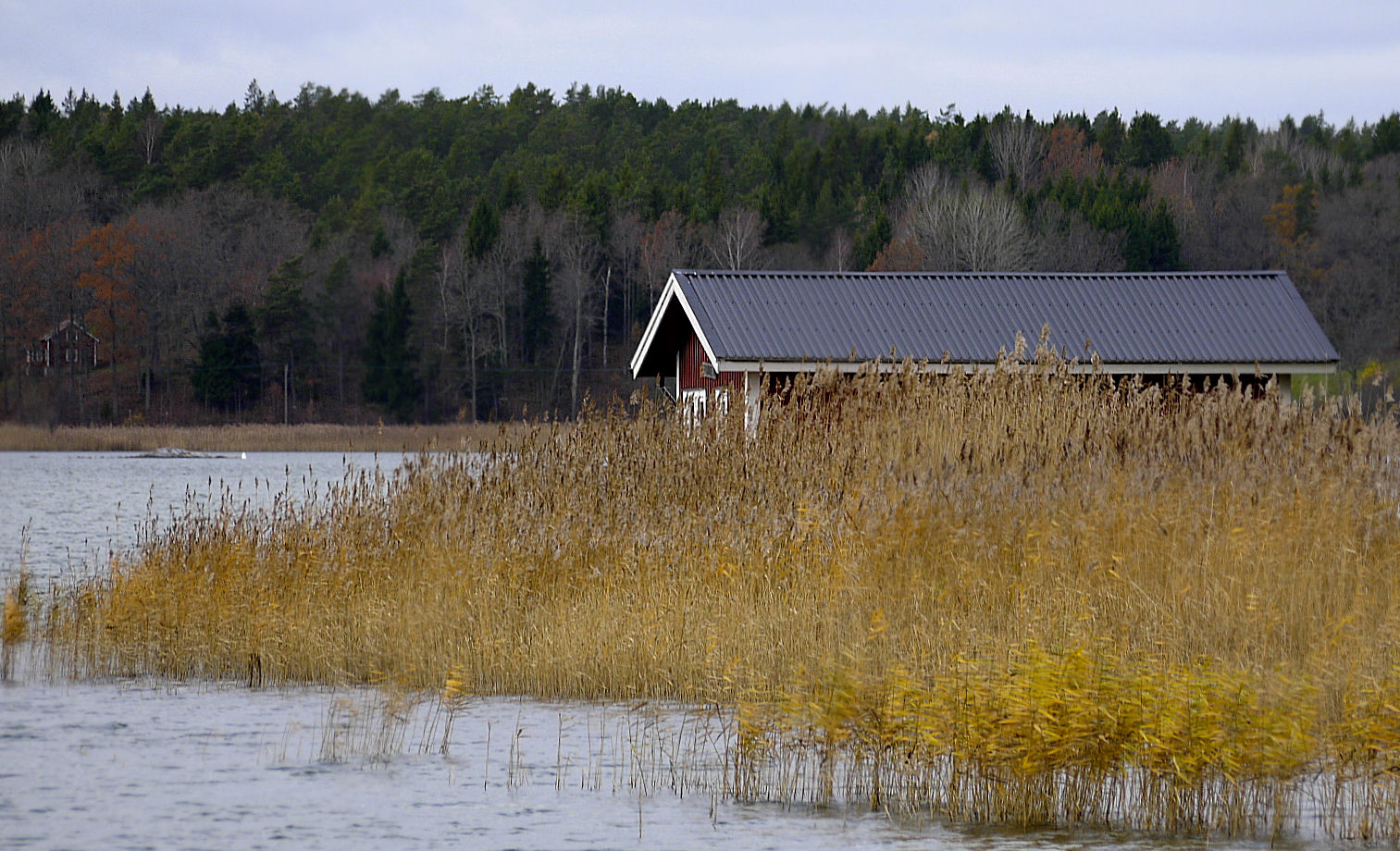 Herbst am Fjord.................