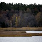 Herbst am Fjord................