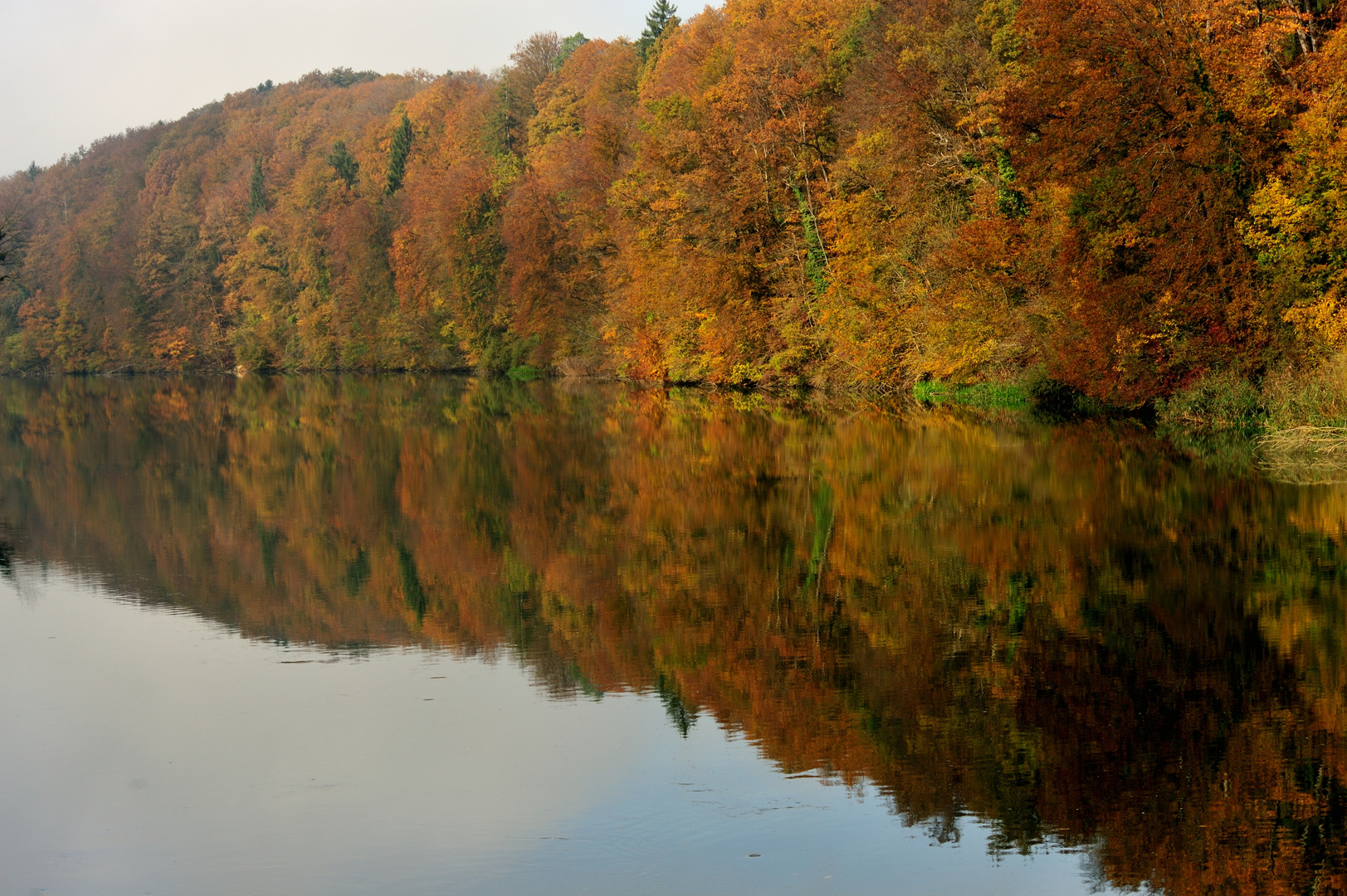 Herbst am Flachsee