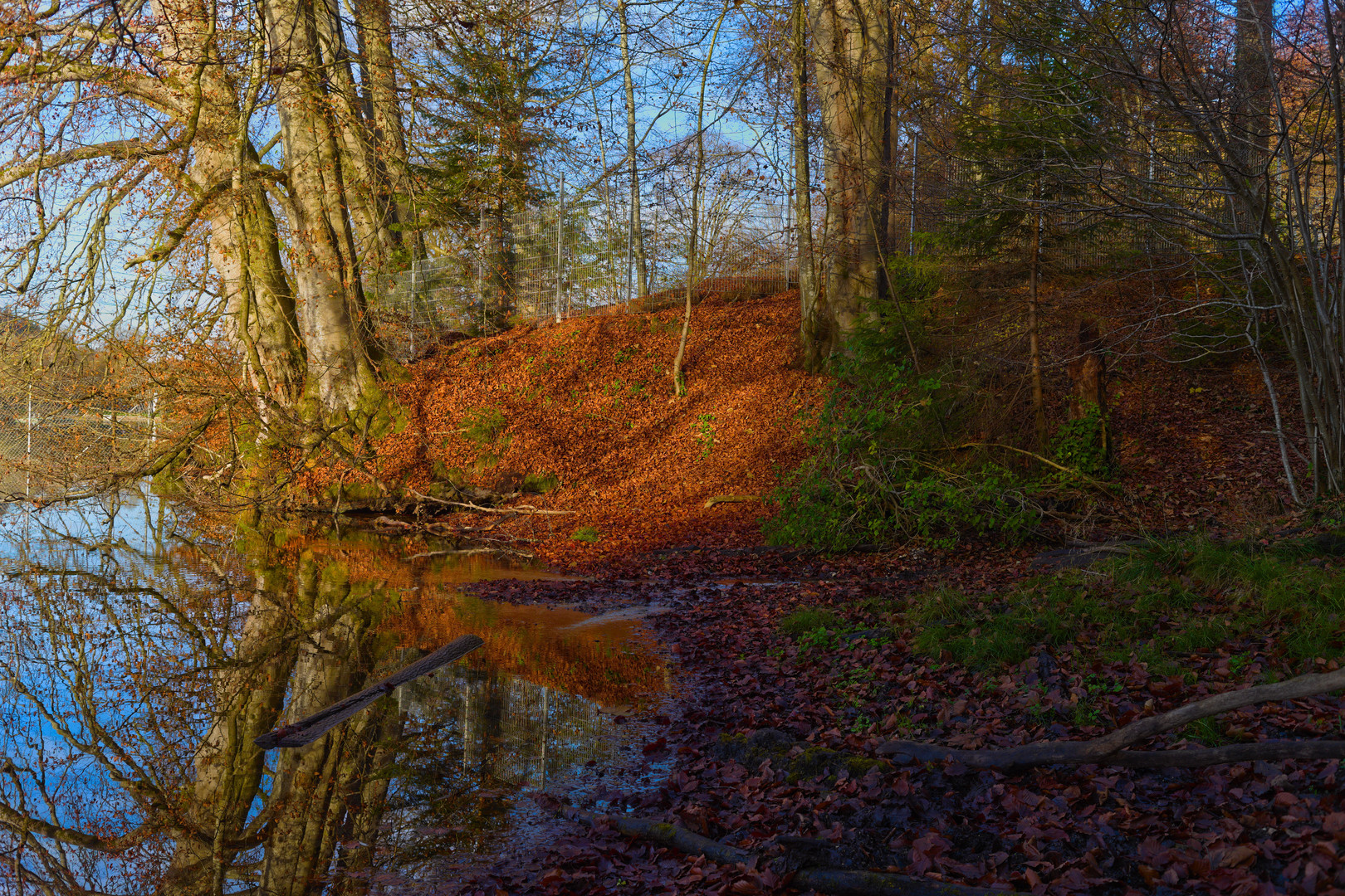 Herbst am Flappachweiher