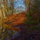 Herbst am Flappachweiher