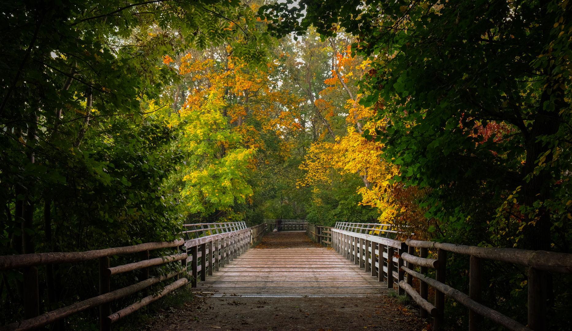 Herbst am Flaucher