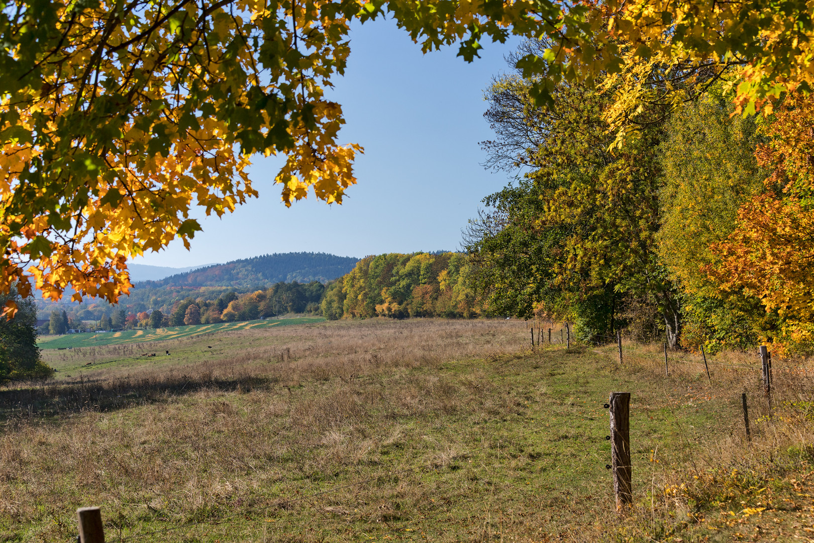 Herbst am Flößgraben