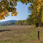 Herbst am Flößgraben