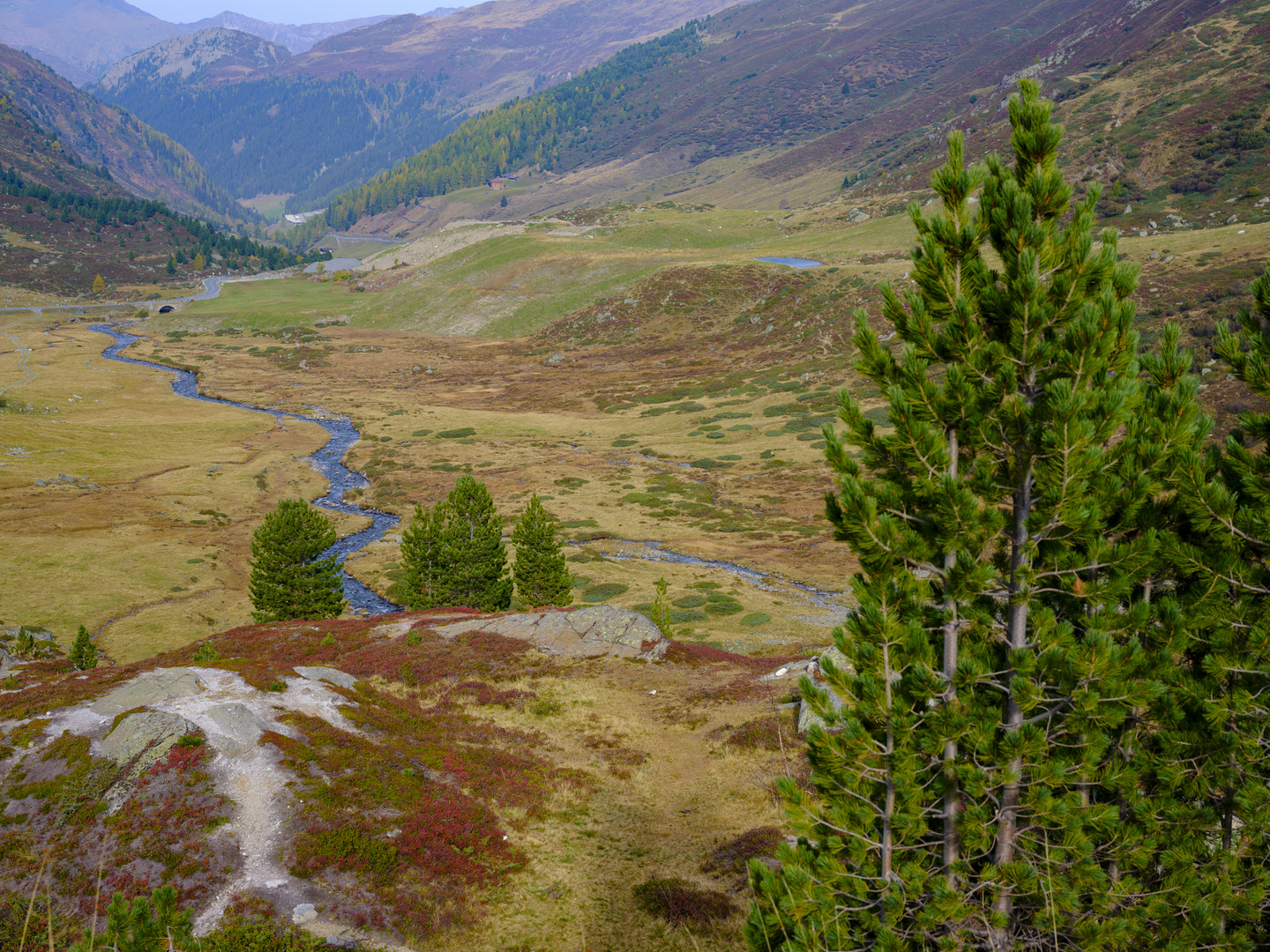 Herbst am Flüelapass 1