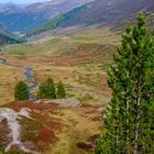 Herbst am Flüelapass 1