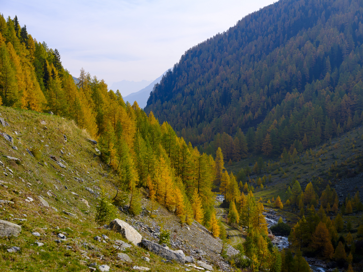 Herbst am Flüelapass 6