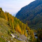 Herbst am Flüelapass 6