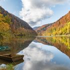 Herbst am Fluss