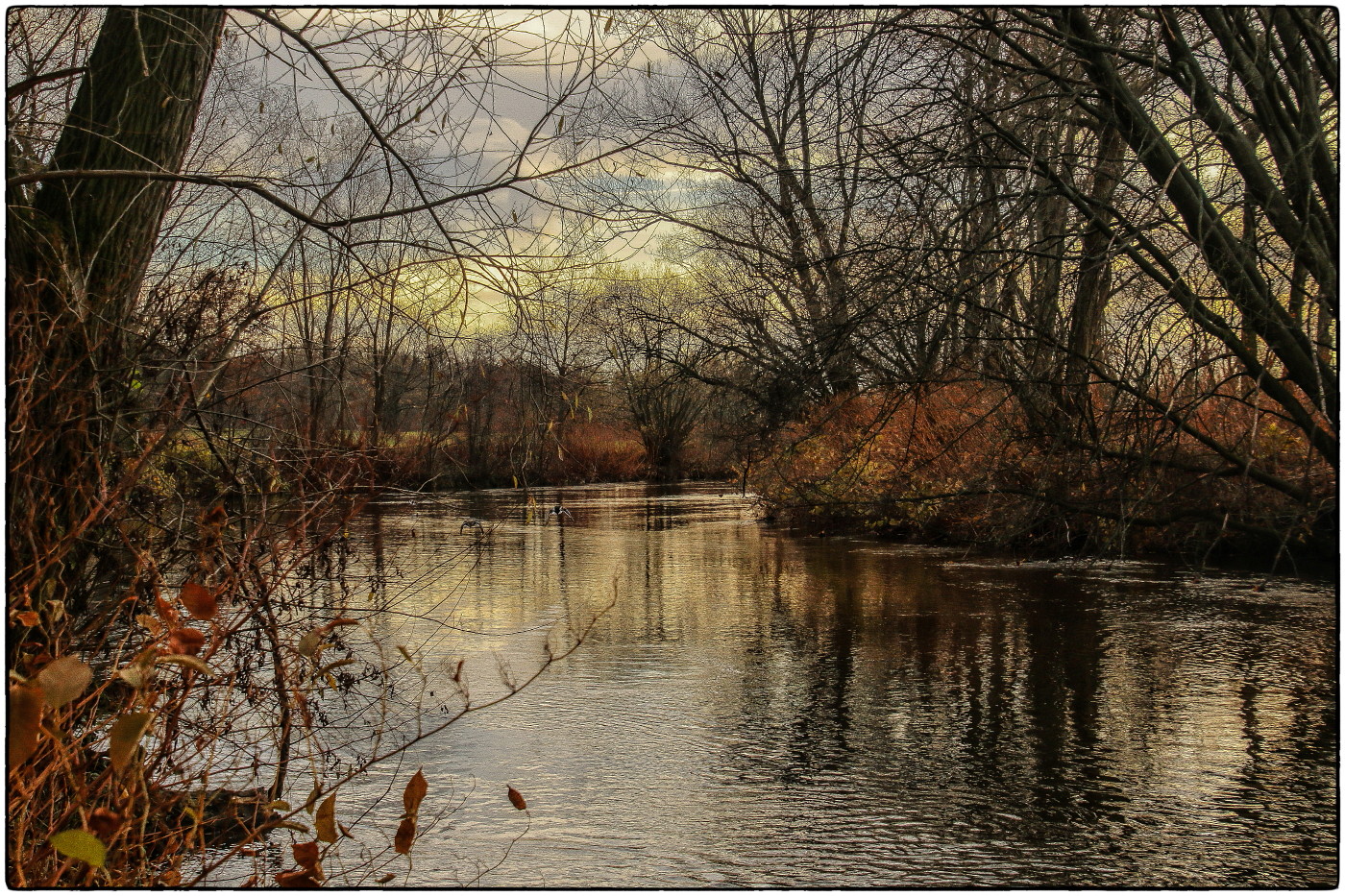 Herbst am Fluß (1)