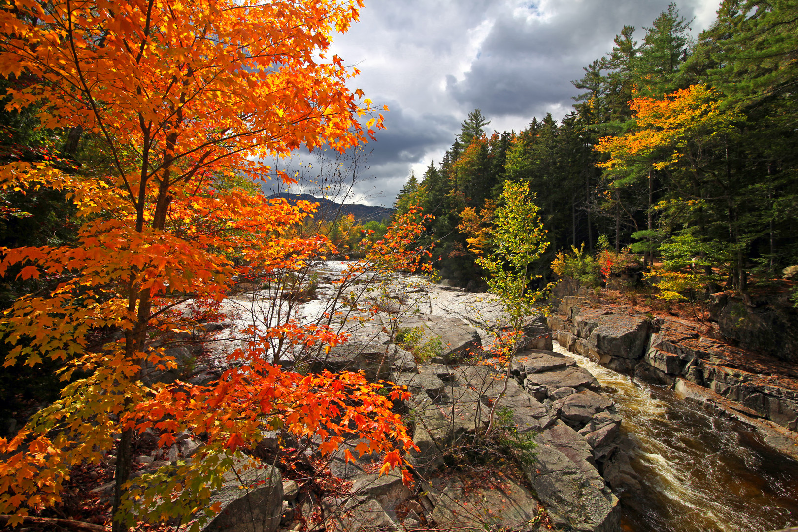 Herbst am Fluss