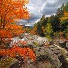 Herbst am Fluss