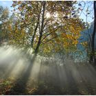 Herbst am Fluß