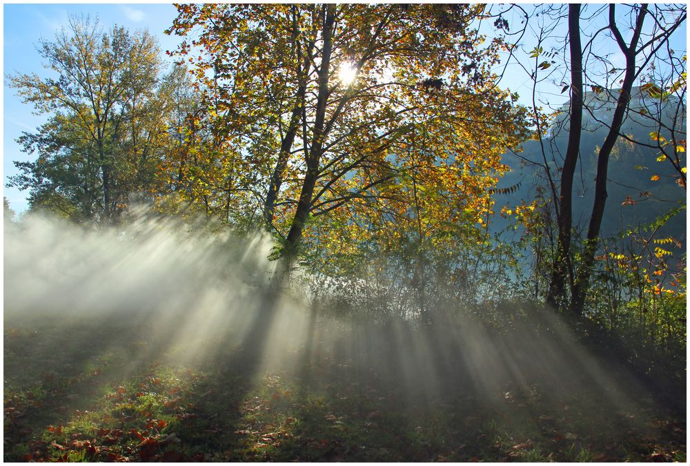 Herbst am Fluß