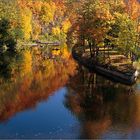 Herbst am Fluss (2)