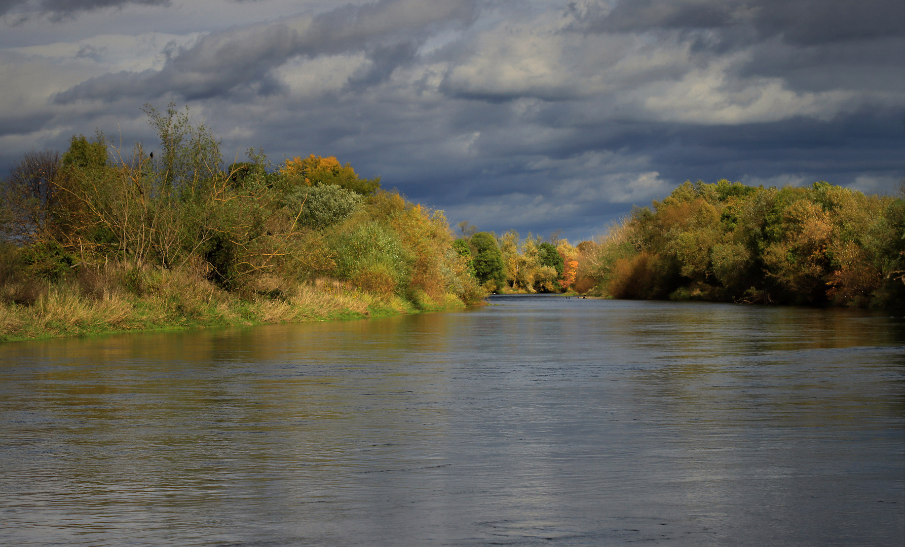 Herbst am Fluss (2)