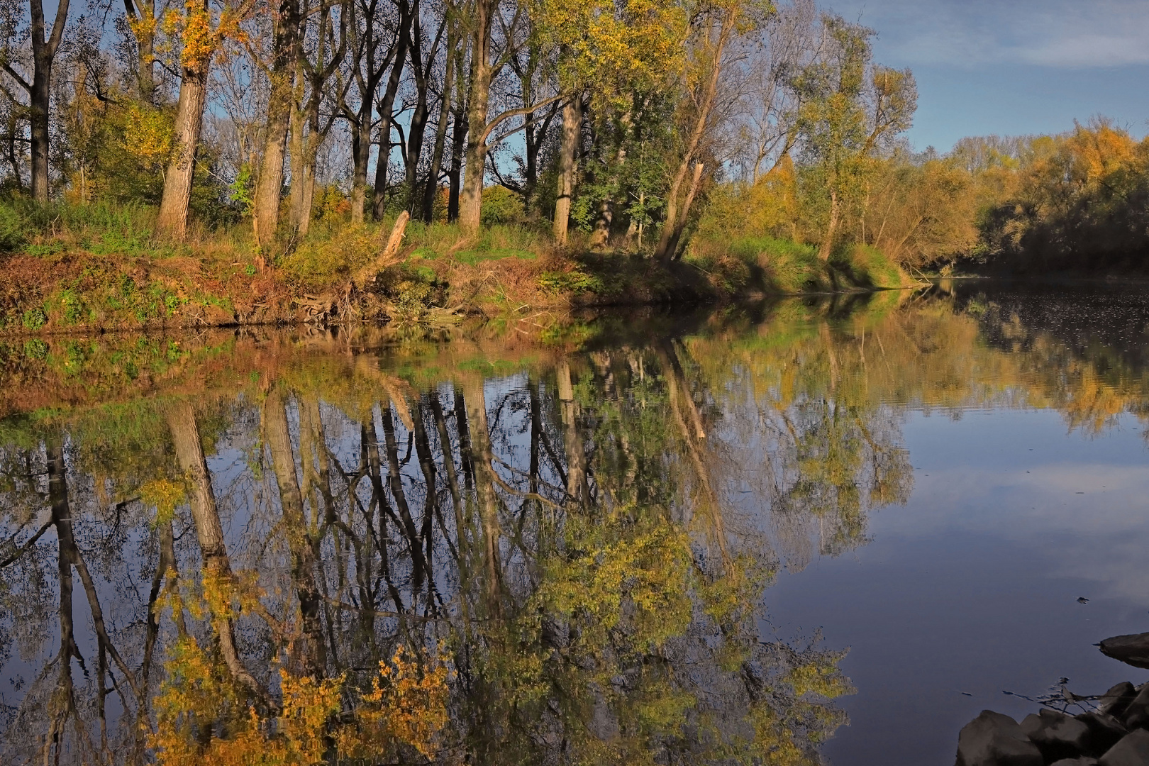 Herbst am Fluss (2)