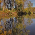 Herbst am Fluss (2)