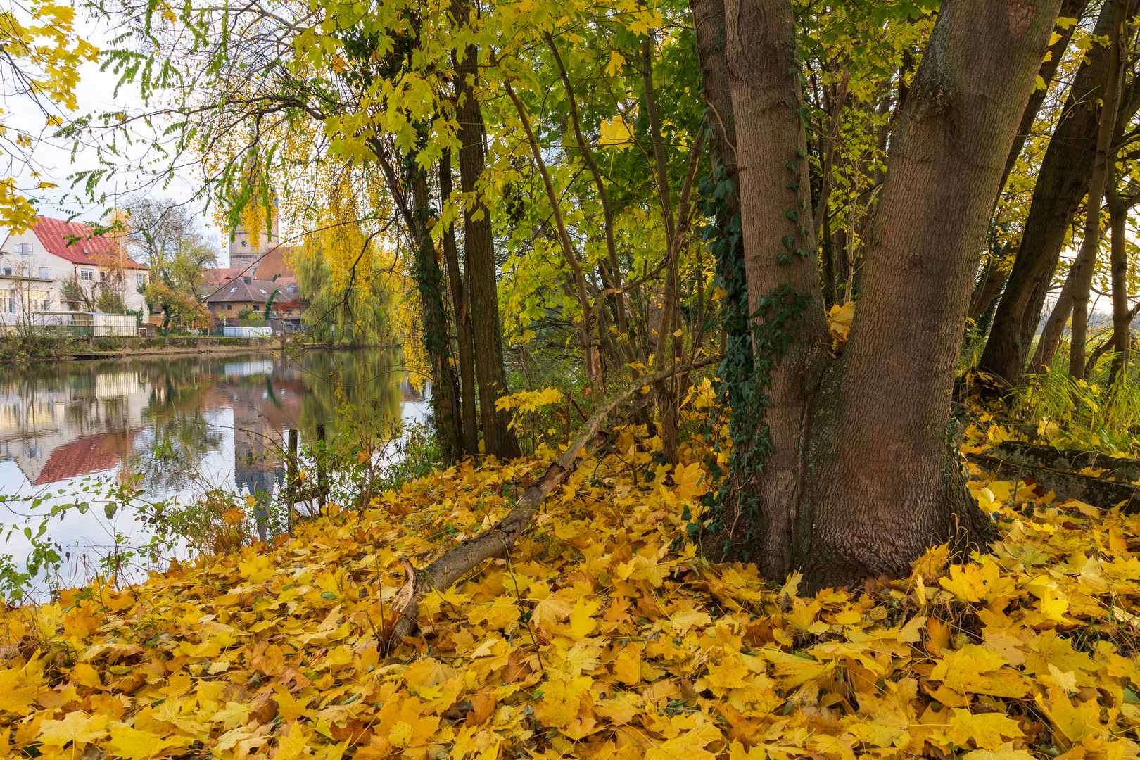 Herbst am Fluss 2