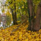 Herbst am Fluss 2