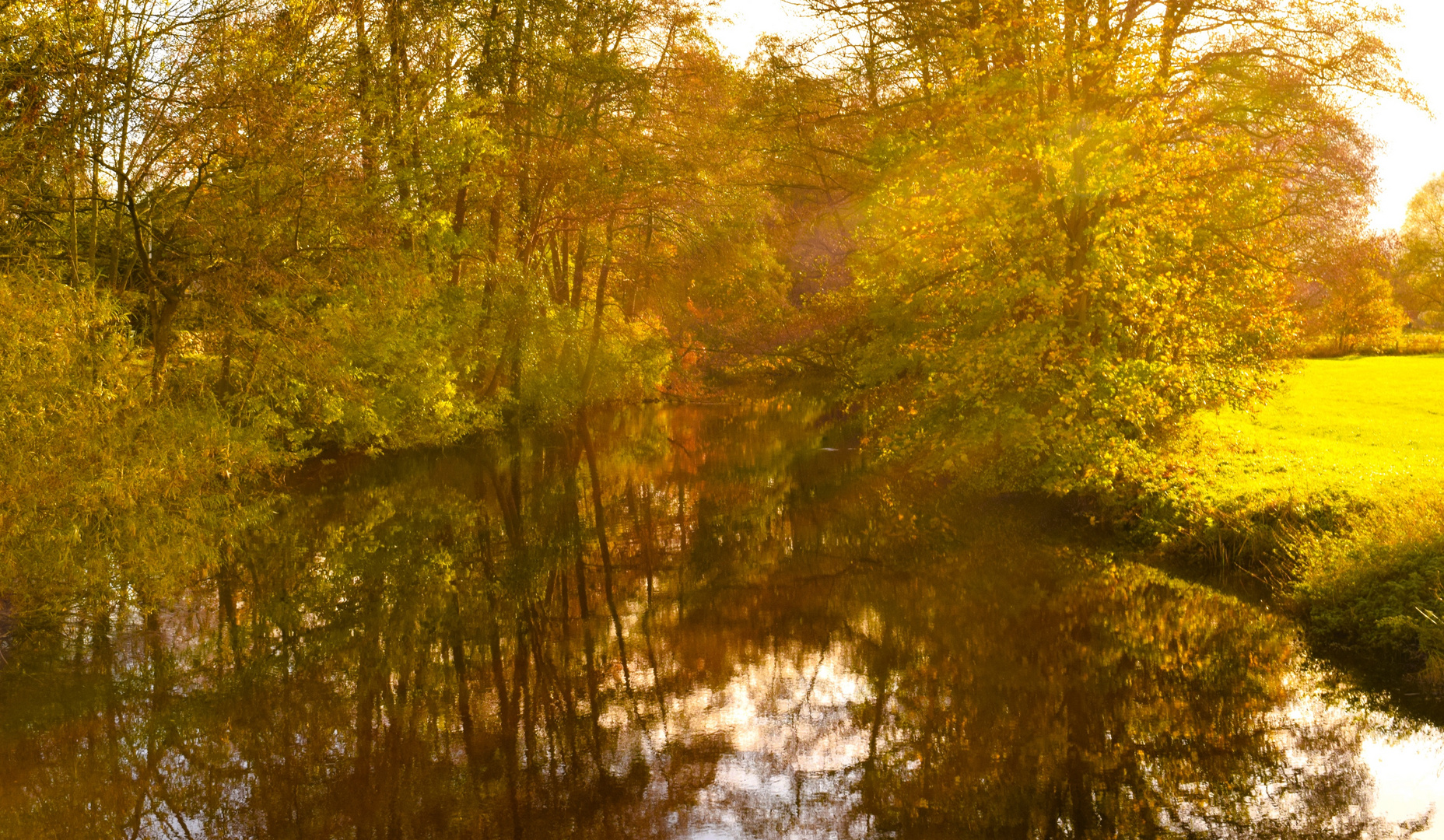 Herbst am Fluss