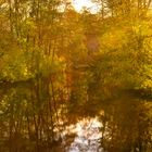 Herbst am Fluss