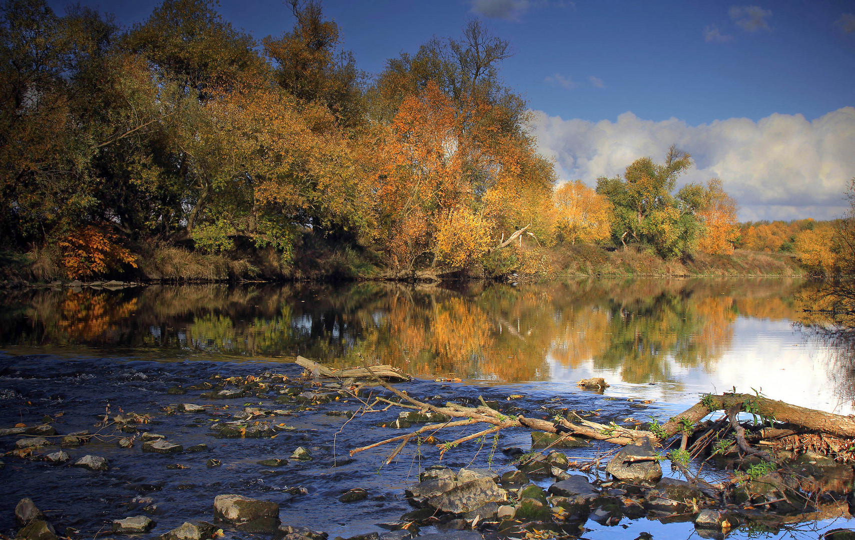 Herbst am Fluß (3)