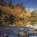 Herbst am Fluß (3)