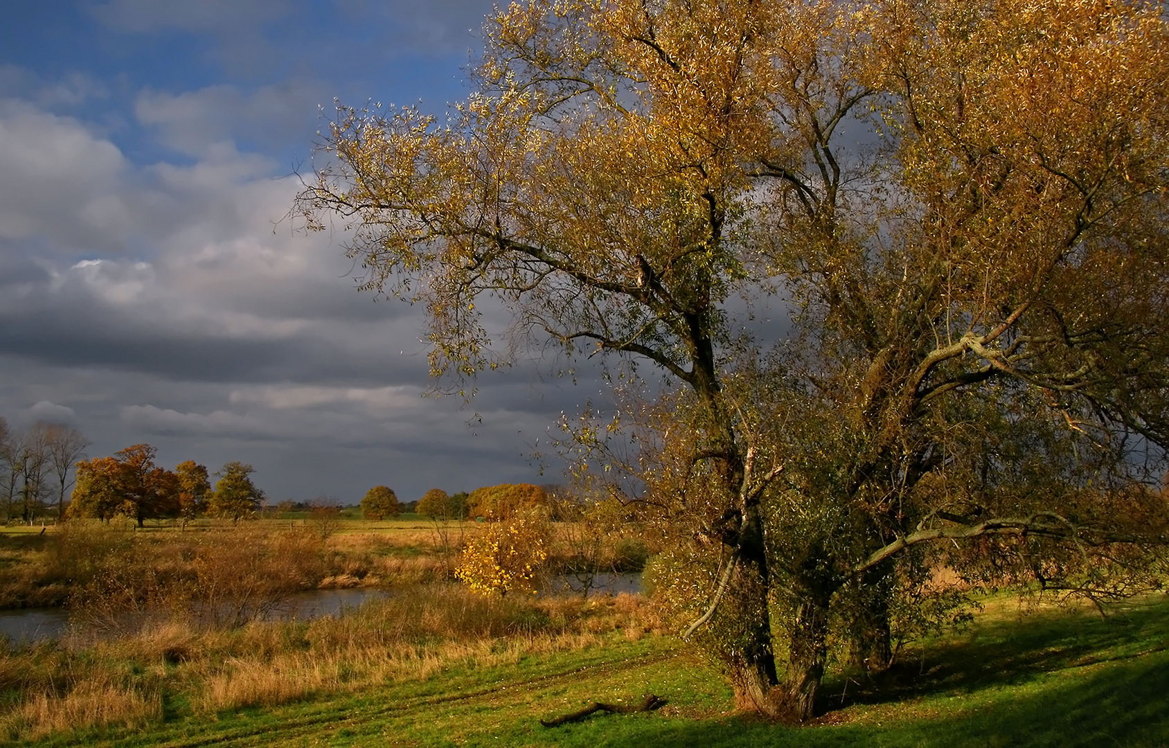 Herbst am Fluß (3)