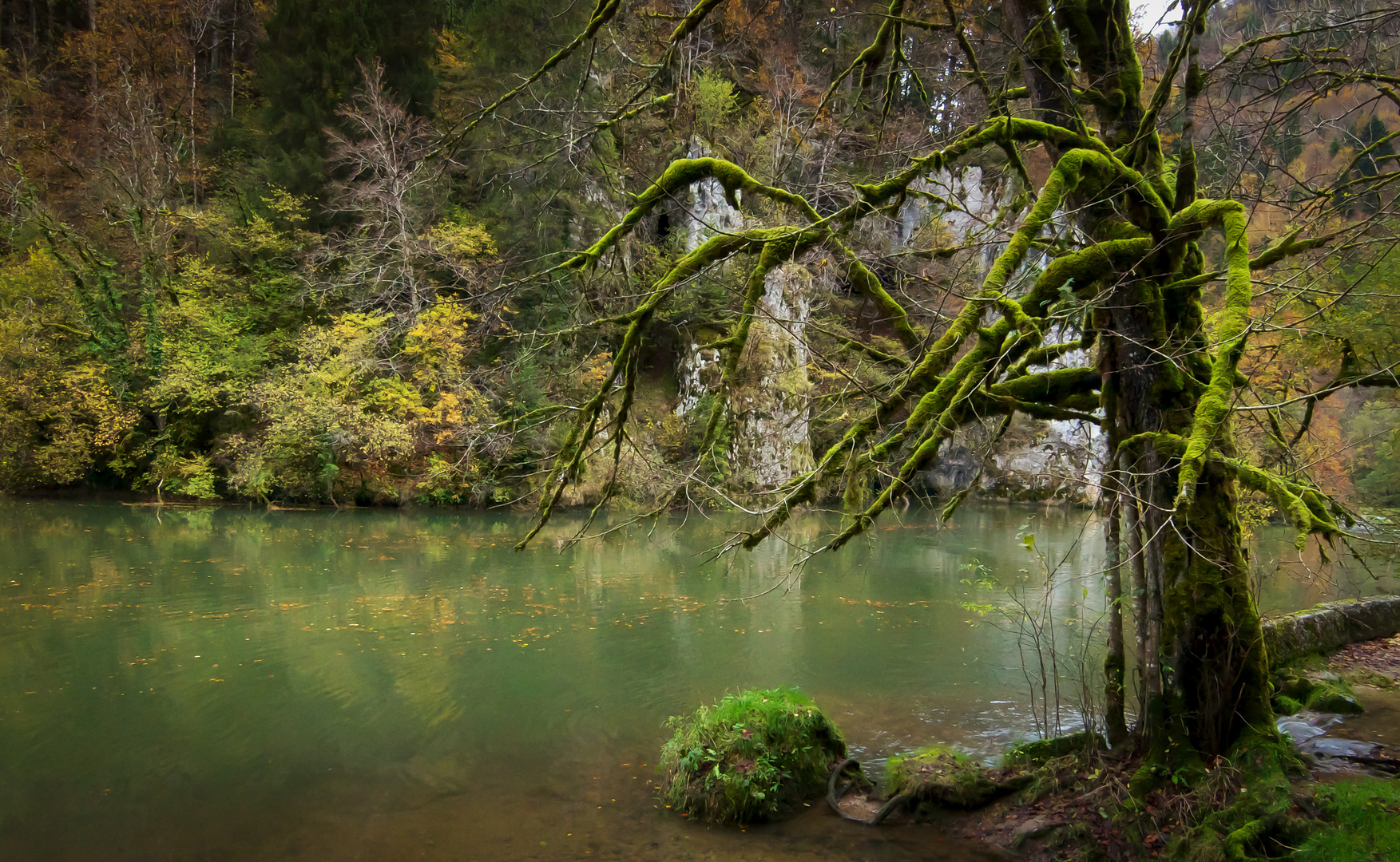 Herbst am Fluss