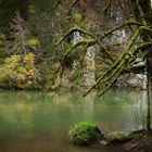 Herbst am Fluss