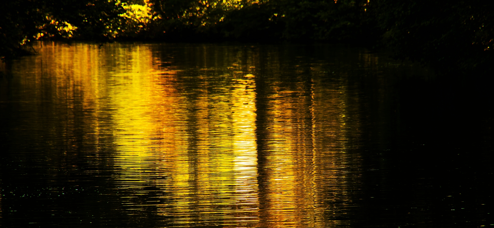 Herbst am Fluss 