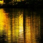 Herbst am Fluss 