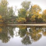 Herbst am Fluss