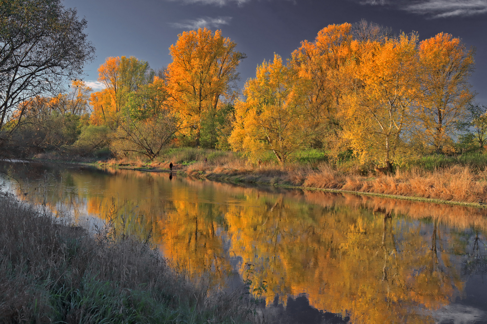 Herbst am Fluss (4)