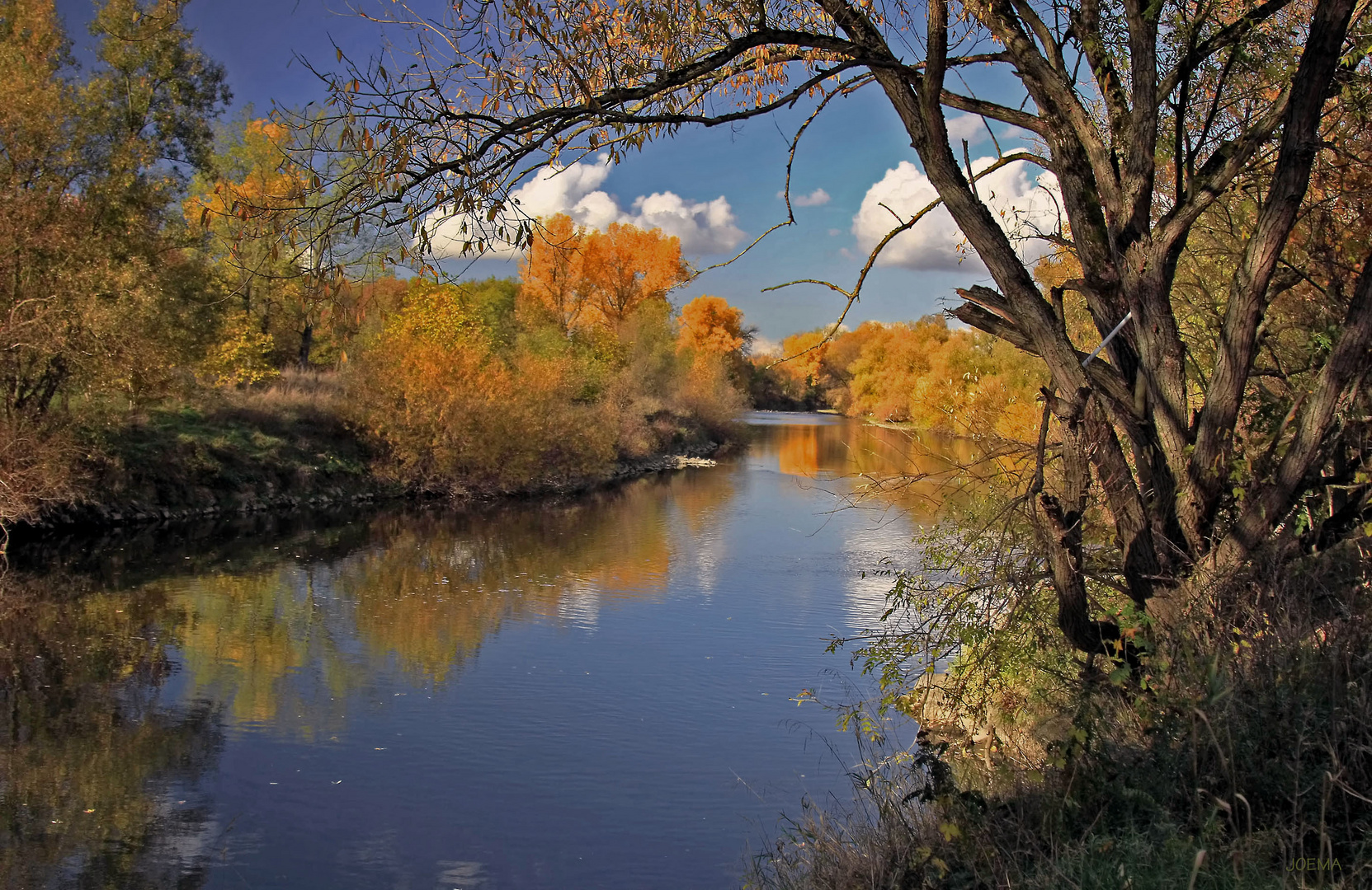 Herbst am Fluss