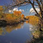 Herbst am Fluss