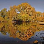 Herbst am Fluß