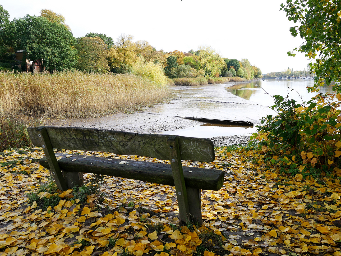 Herbst am Fluss