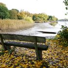 Herbst am Fluss