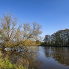 Herbst am Fluss