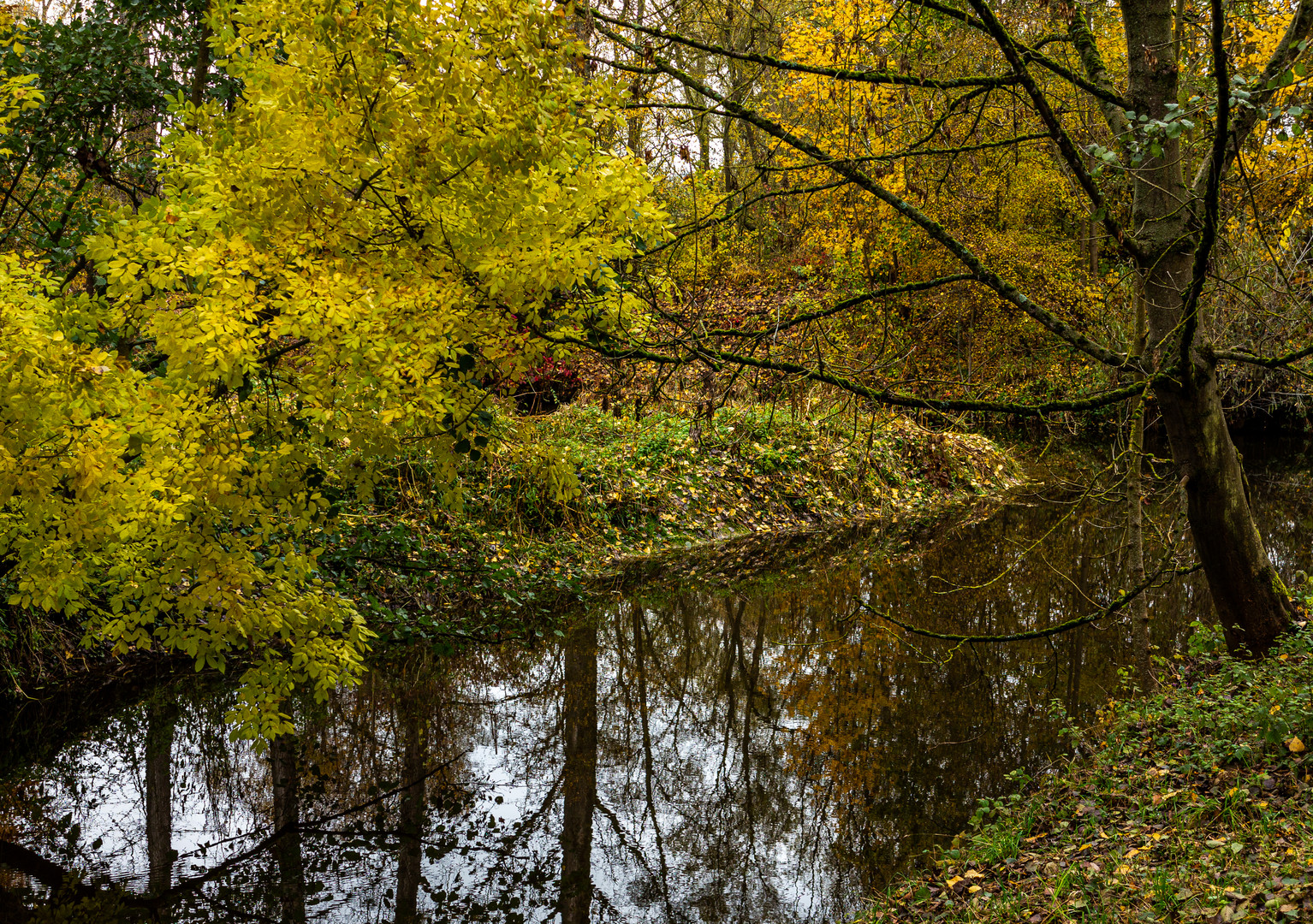 Herbst am Fluß