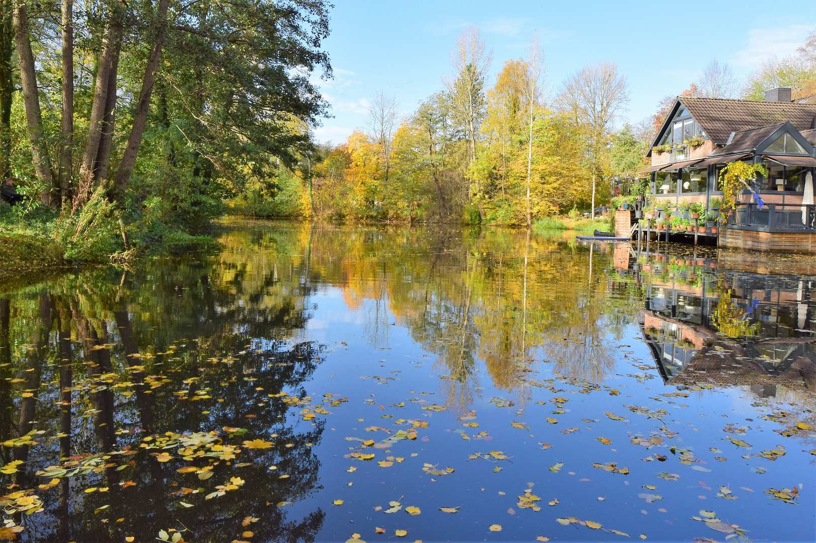 Herbst am Fluss