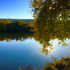 Herbst am Fluss 