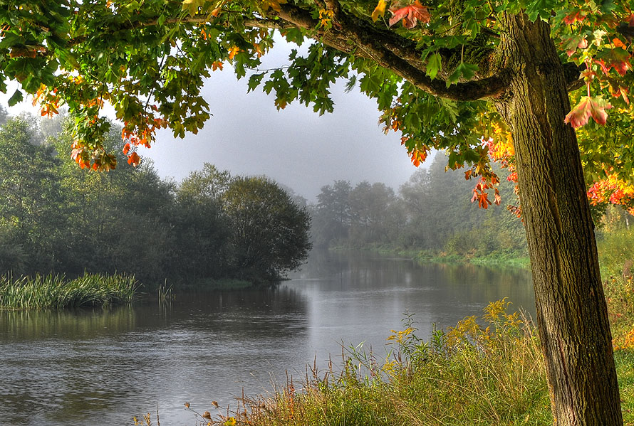 Herbst am Fluß