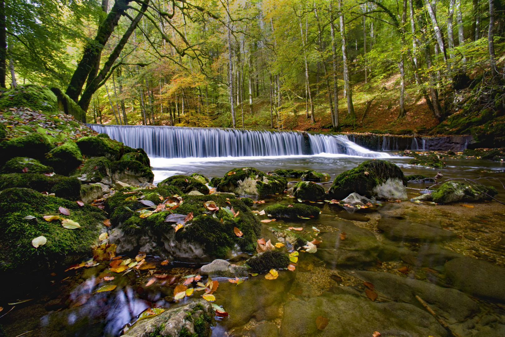 Herbst am Fluss