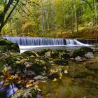 Herbst am Fluss