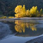 Herbst am Fluss