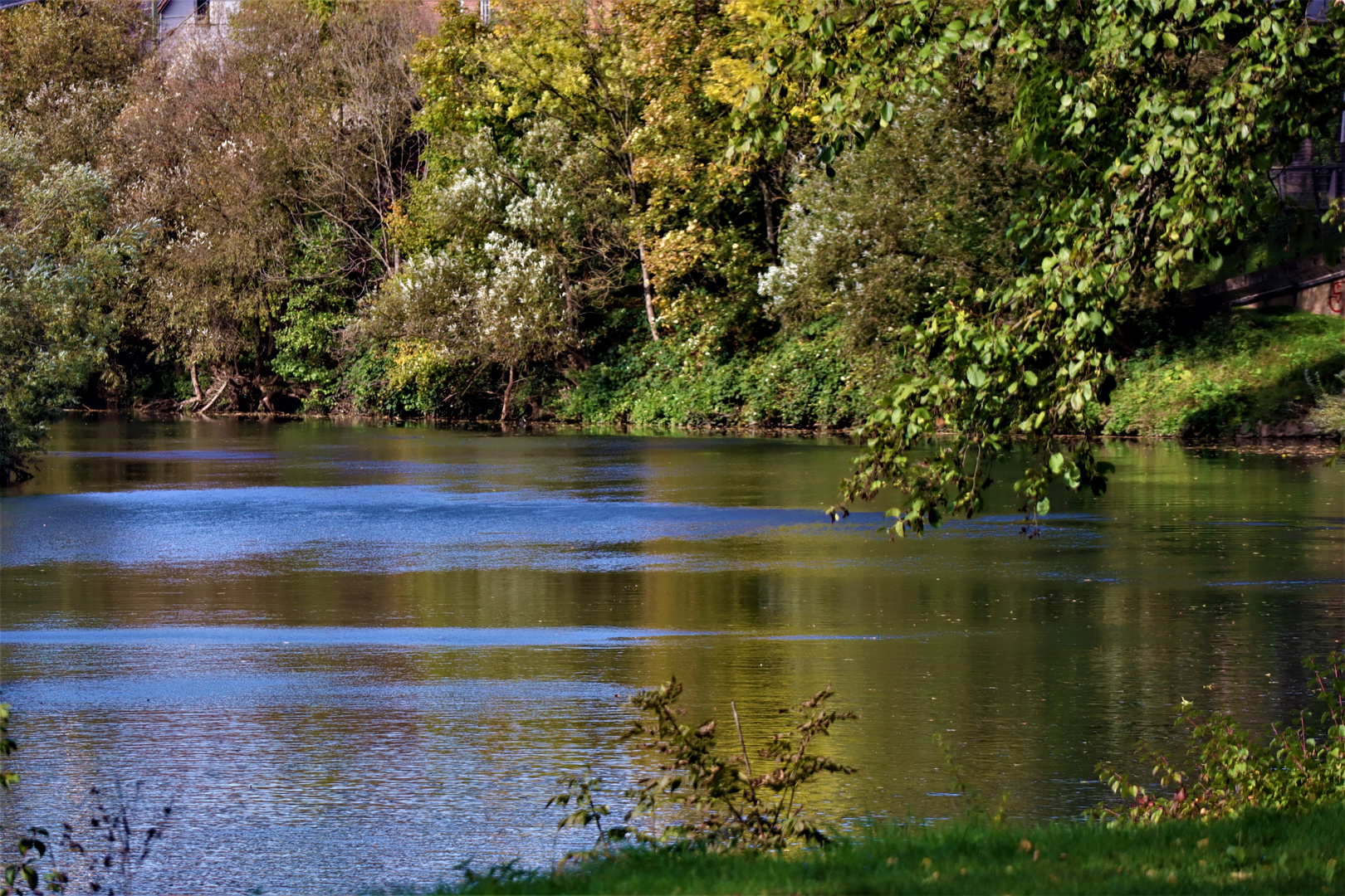 Herbst am Fluss 